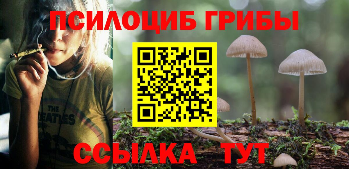 Галлюциногенные грибы Psilocybe Трёхгорный
