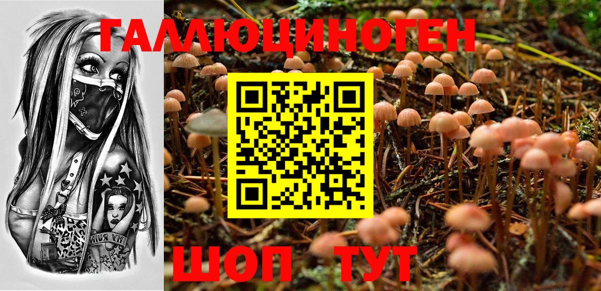 Трёхгорный  Галлюциногенные грибы Cubensis  Вход с VPN 